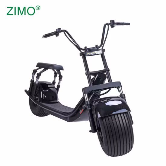 Flymate Lithium-Iron Battery Golf City Coco Fat Tire Electric Motorcycle Electric Scooter