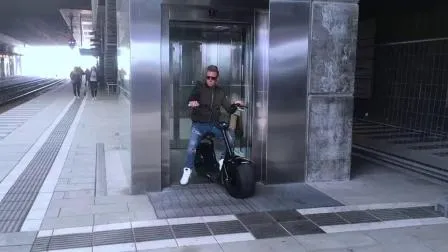 Flymate Lithium-Iron Battery Golf City Coco Fat Tire Electric Motorcycle Electric Scooter