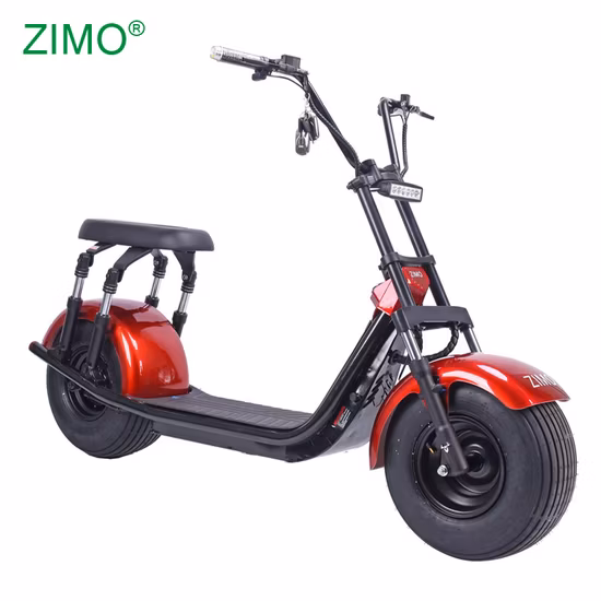 Scooter elettrico per motocicletta elettrica Flymate con batteria al litio e ferro Golf City Coco Fat Tire