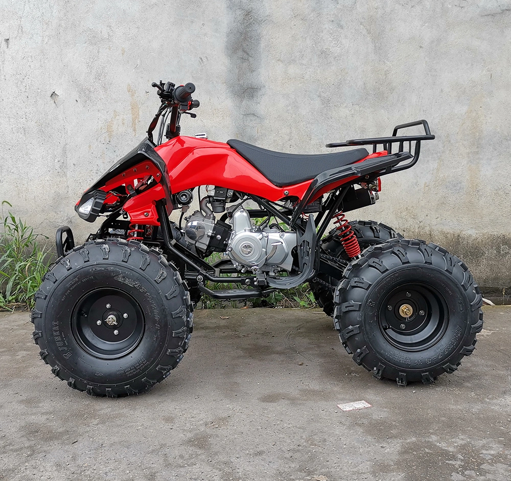 110cc 125cc 4 Wheeler Gas Quadricycle Quad ATV Bike