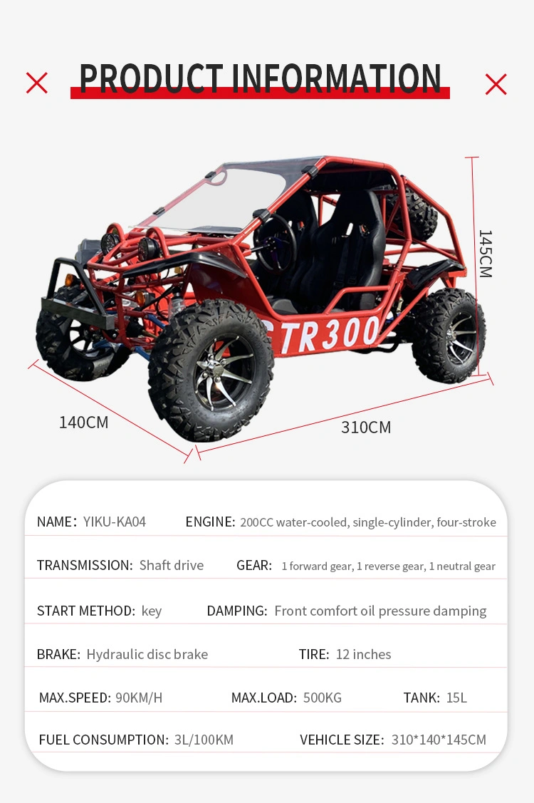 Custom CVT Double Seats 200cc Water Cooling Racing Adults Go Kart Shaft Drive Go Karts