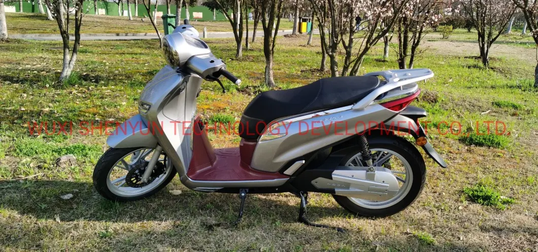 China Wuxi City Coco Electric Scooter for Adults 2 Big Size Wheels 16inch 1500W 3000W/72V/45ah