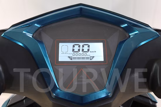 Flymate China Manufacturer High Speed Cheap Adult CKD Electric Motorcycle