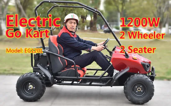 Fornitore cinese, go kart fuoristrada elettrico da 60 V di vendita a buon mercato per bambini e adulti ai migliori prezzi