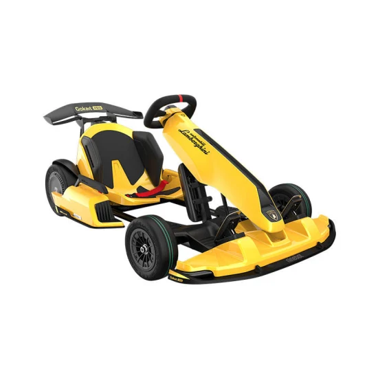 Ninebot Seg Way Xiaomi Lamborghini Gokart Karting Sterzo Cross Buggy Car Racing Gokart fuoristrada per adulti Gokart elettrici