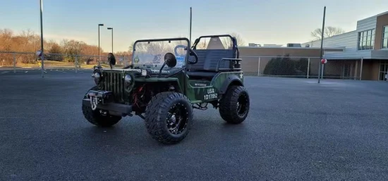 Mini jeep a benzina da 150 cc con grandi pneumatici ATV