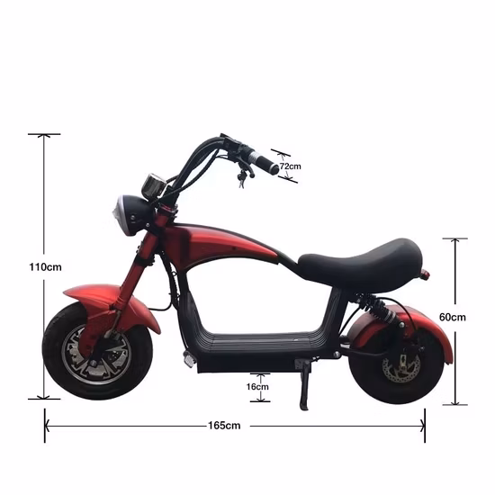 CE City Coco Elettrico Harley Elettroroller 60V 20A 1500W