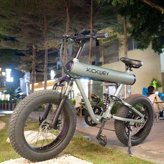 Dirt bike elettrica fuoristrada veloce e con pneumatici grassi, e-bike da città di montagna