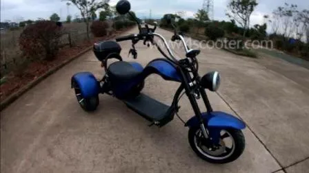 Trituratore elettrico a tre ruote di nuova generazione con 2 ruote posteriori e scooter elettrico veloce