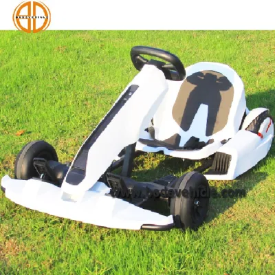 Nuovo Ninebot Mini Scooter Scooter elettrico da corsa Go Kart