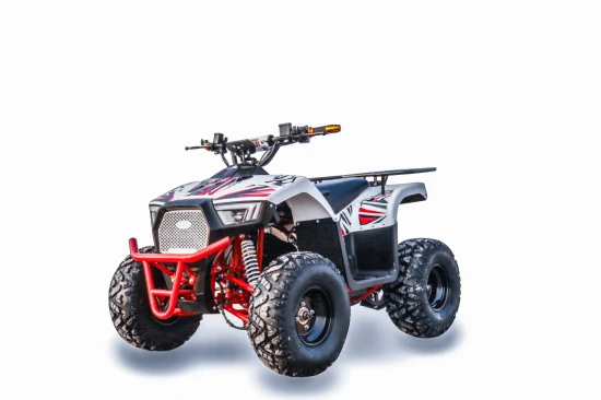 Quad ATV elettrico 2022 60V 1000W per adulti/adolescenti