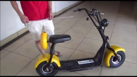 Prezzo economico all'ingrosso di fabbrica Batteria Venus 3000W Fat Tire 2 ruote Smart EEC EPA Adult City Coco Citycoco Moto Moto Veicolo elettrico Mobilità E Scooter EU